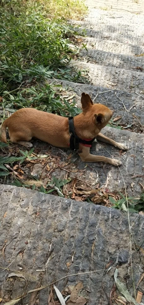 会员相册